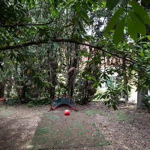 Vatican Quiet With Garden & Parking Appartamento Roma
